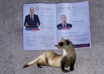 DIHORUL UCIGAȘ A ȘI ÎNCEPUT CAMPANIA ELECTORALĂ! TOTUL CU BANI PROVENIȚI DIN INFRACȚIUNI DE ȘANTAJ ȘI AMENINȚARE