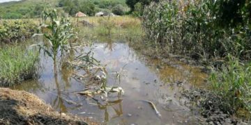 Inundaţiile au produs pagube în 11 localităţi din județul Dâmbovița!