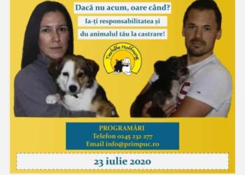 Campanie gratuită de sterilizare a câinilor cu stăpân!