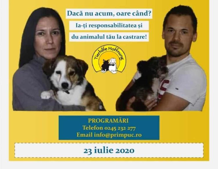 Campanie gratuită de sterilizare a câinilor cu stăpân!