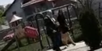 ȚUȚUIANU ȘI AMANTA SA SURPRINȘI – VESELI – ÎN APROPIEREA UNUI CUIBUȘOR DE NEBUNII (VIDEO)