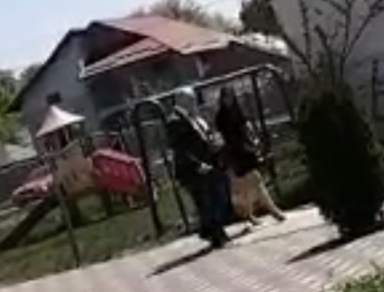 ȚUȚUIANU ȘI AMANTA SA SURPRINȘI – VESELI – ÎN APROPIEREA UNUI CUIBUȘOR DE NEBUNII (VIDEO)