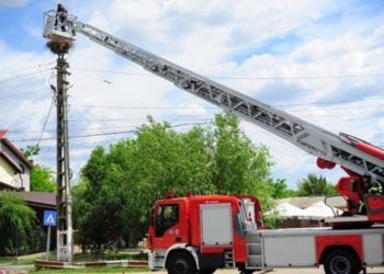 Pompierii au fost solicitați  pentru salvarea unei berze care a rămas prinsă între firele de tensiune!