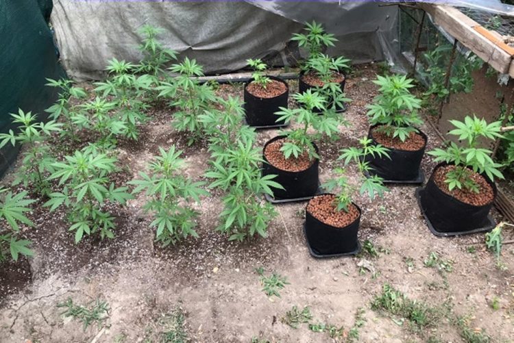 Percheziții la persoane bănuite de trafic de droguri!