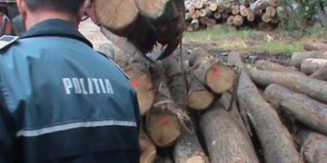 Polițiștii au acționat pentru prevenirea și sancționarea delictelor silvice!