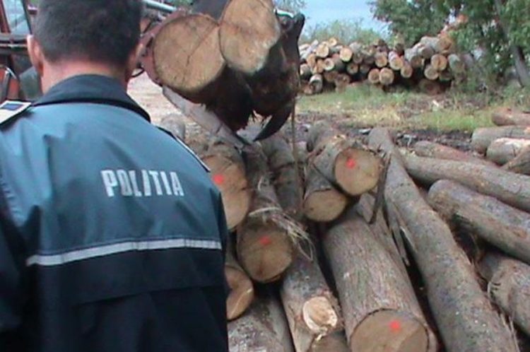 Polițiștii au acționat pentru prevenirea și sancționarea delictelor silvice!