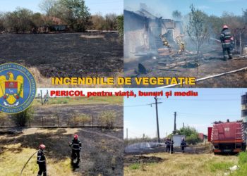 Incendiile de vegetație dau mari batăi de cap pompierilor!