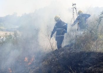 Incendiu de vegetație uscată pe raza comunei I. L. Caragiale!