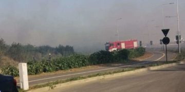 Incendiu de vegetație în zona Mall-ului din Municipiul Târgoviște!
