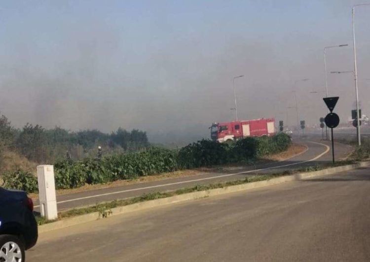 Incendiu de vegetație în zona Mall-ului din Municipiul Târgoviște!