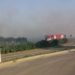 Incendiu de vegetație în zona Mall-ului din Municipiul Târgoviște!
