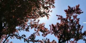 Vreme caldă în județul Dâmbovița!