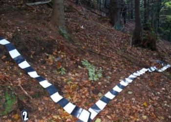 O femeie din Pietrari se zbate între viață și moarte după ce a căzut un copac peste ea!