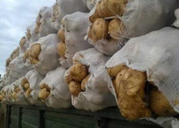 Fabrică de amidon și depozit de legume la Lungulețu!