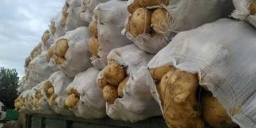 Fabrică de amidon și depozit de legume la Lungulețu!