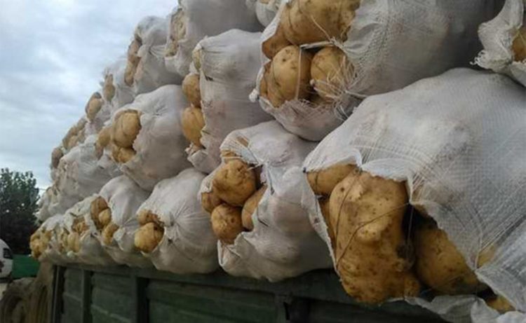 Fabrică de amidon și depozit de legume la Lungulețu!