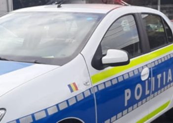 Doi indivizi din Ulmi au fost reținuți de poliție!