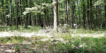 Un bărbat din Cândești a trecut prin momente delicate după ce s-a rătăcit prin pădurile din localitate!