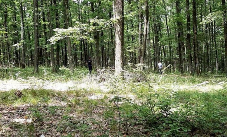 Un bărbat din Cândești a trecut prin momente delicate după ce s-a rătăcit prin pădurile din localitate!