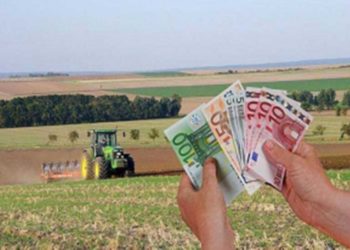Legea pentru stimularea producătorilor agricoli care comercializează produsele agricole primare a fost adoptată!