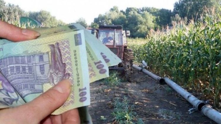 Agricultorii din Dâmbovița au început să primească avansul din subvențiile de la APIA!