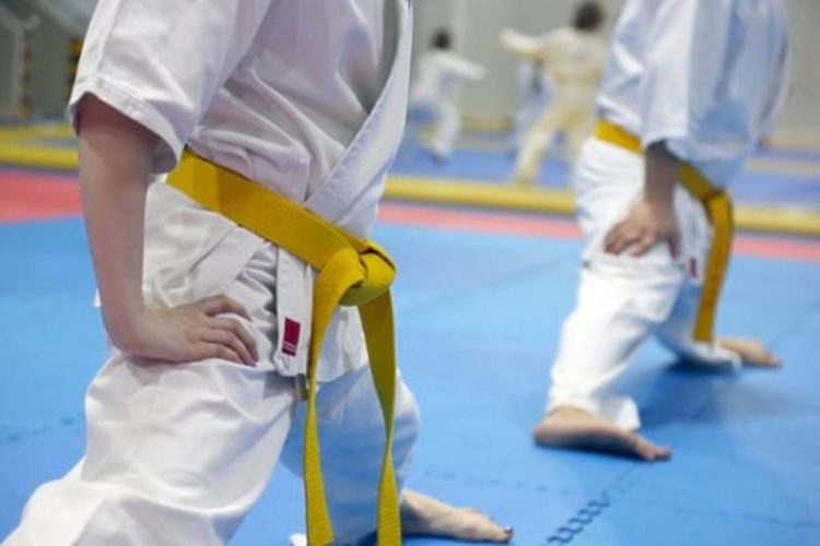 Secția de karate din cadrul Clubului Sportiv Târgoviște organizează selecții în această perioadă!