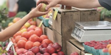 Piața agroalimentară a Municipiului Moreni va fi relocată!