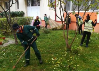 Au fost realizate acțiuni de întreținere si curățare a spațiilor verzi în Municipiul Târgoviște!