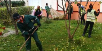 Au fost realizate acțiuni de întreținere si curățare a spațiilor verzi în Municipiul Târgoviște!