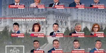 Pe 6 decembrie votăm pentru viitor!
