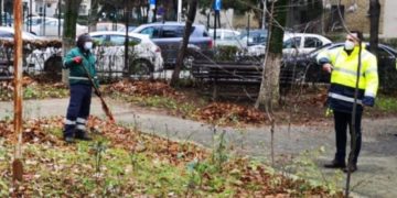 Au fost realizate acțiuni de întreținere si curățare a spațiilor verzi în Municipiul Târgoviște!