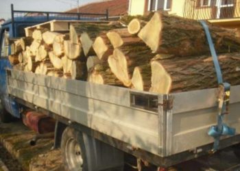 Un dâmbovițean a fost prins fără permis și cu un transport ilegal de lemne!
