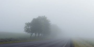 Cod Galben de ceață în sudul județului Dâmbovița!