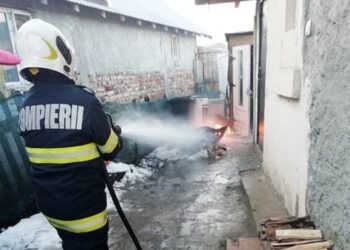 Intervenție a pompierilor târgovișteni în localitatea Viișoara!