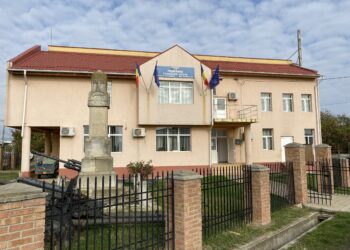 Primarul comunei Perșinari a transmis un mesaj de Ziua Unirii!