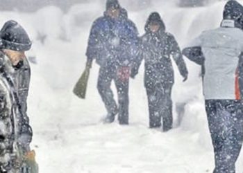 Cod galben de ninsoare în Dâmbovița!