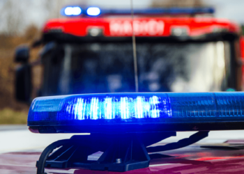 Infracțiuni de distrugere și furt anchetate de polițiștii de la Crevedia!