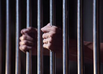 Un bărbat din Teiș a fost condamnat pentru furt!