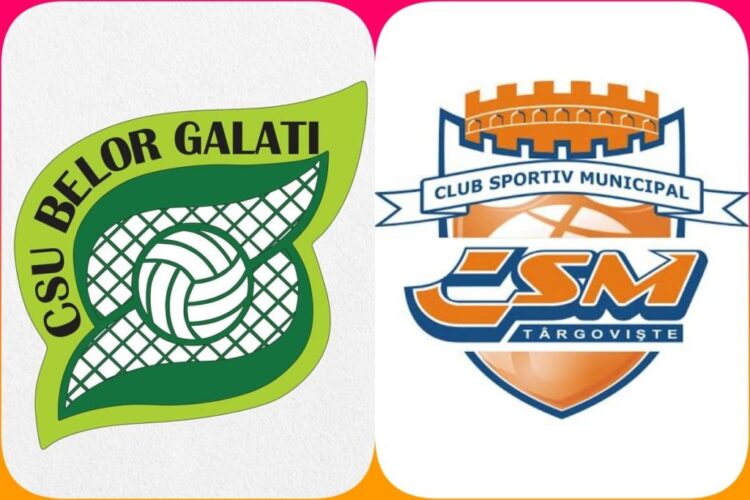 CSM Târgoviște joacă astăzi în sferturile Cupei României!