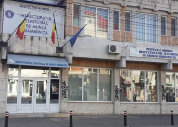 Nereguli și amenzi constatate de ITM Dâmbovița în prima lună a anului 2021!