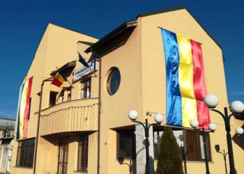 Primăria Ocnița anunță împădurirea terenurilor degradate!