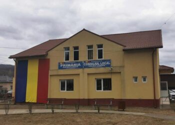 Primăria comunei Valea Lunga vine în sprijinul cetățenilor cu servicii publice online!