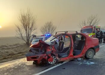 Accident pe raza comunei dâmbovițene Sălcioara!