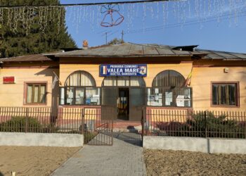 Primăria Valea Mare vine în sprijinul cetățenilor cu servicii publice online!