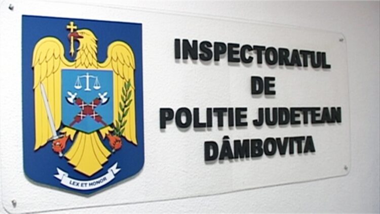 Evaluarea activității Inspectoratului de Poliție Județean Dâmbovița în anul 2020!
