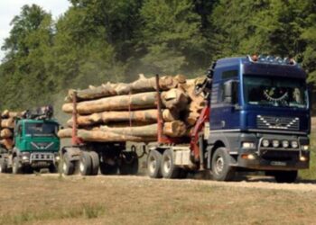 Confiscări de material lemnos în județul Dâmbovița!