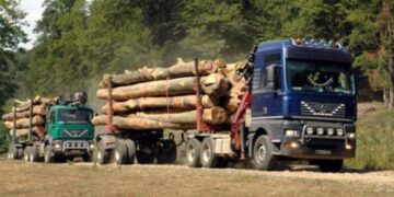 Confiscări de material lemnos în județul Dâmbovița!