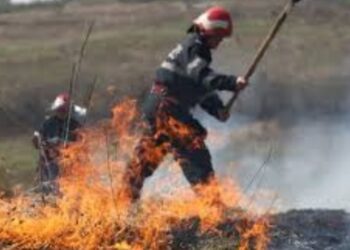 Acţiuni de intervenţie şi activităţi preventive ale ISU “Basarab I” Dâmboviţa!