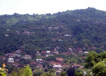 Carantina se prelungește cu o săptămână în Pucheni!