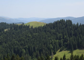 O nouă etapă pentru elaborarea Planului Urbanistic Zonal  al Stațiunii Turistice de Interes Național Peștera-Padina